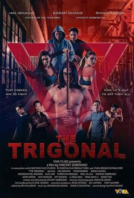 Тригонал: Борьба за справедливость / The Trigonal: Fight for Justice (2018) смотреть онлайн бесплатно в отличном качестве