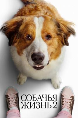 Собачья жизнь 2 / A Dog's Journey (2019) смотреть онлайн бесплатно в отличном качестве