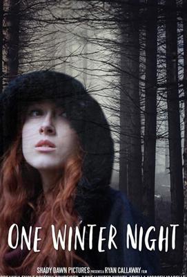 Однажды зимней ночью / One Winter Night (2019) смотреть онлайн бесплатно в отличном качестве