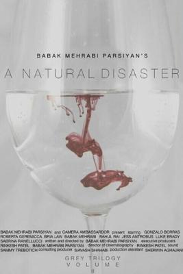 Стихийное бедствие (A Natural Disaster) 2016 года смотреть онлайн бесплатно в отличном качестве. Постер