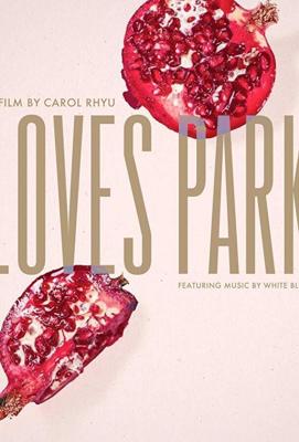 Искра любви / Loves Park (2017) смотреть онлайн бесплатно в отличном качестве