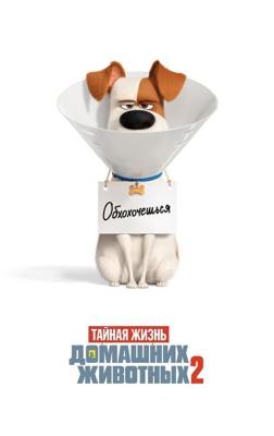 Тайная жизнь домашних животных 2 / The Secret Life of Pets 2 (2019) смотреть онлайн бесплатно в отличном качестве