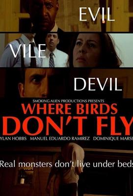 Где птицы не летают / Where Birds Don't Fly (2017) смотреть онлайн бесплатно в отличном качестве