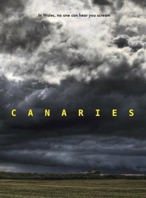 Канарейки / Canaries (2017) смотреть онлайн бесплатно в отличном качестве