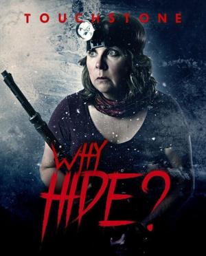 Зачем прятаться? / Why Hide? (2018) смотреть онлайн бесплатно в отличном качестве