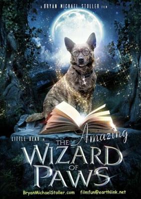 Удивительный волшебник из Лапы (The Amazing Wizard of Paws) 2015 года смотреть онлайн бесплатно в отличном качестве. Постер