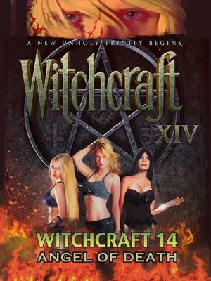 Колдовство 14: Ангел Смерти / Witchcraft 14: Angel of Death (2016) смотреть онлайн бесплатно в отличном качестве