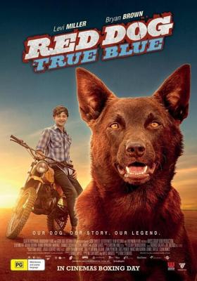 Рыжий: вся правда / Red Dog: True Blue (2016) смотреть онлайн бесплатно в отличном качестве