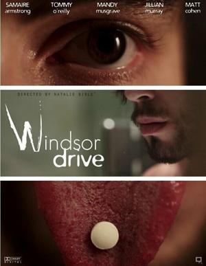 Виндзор Драйв / Windsor Drive (2015) смотреть онлайн бесплатно в отличном качестве