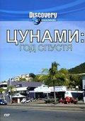 Цунами: Год спустя (Discovery: Tsunami: One Year Later) 2005 года смотреть онлайн бесплатно в отличном качестве. Постер