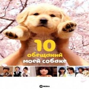 10 обещаний моей собаке (Inu to watashi no 10 no yakusoku) 2008 года смотреть онлайн бесплатно в отличном качестве. Постер