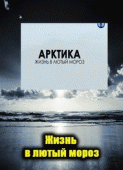 Арктика. Жизнь в лютый мороз /  (None) смотреть онлайн бесплатно в отличном качестве