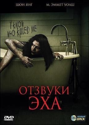 Отзвуки эха (Haunted Echoes) 2008 года смотреть онлайн бесплатно в отличном качестве. Постер