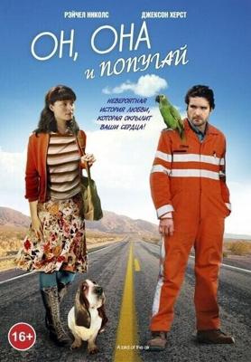 Он, она и попугай / A Bird of the Air (2011) смотреть онлайн бесплатно в отличном качестве