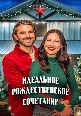 Идеальное рождественское сочетание / A Perfect Christmas Pairing (2023) смотреть онлайн бесплатно в отличном качестве