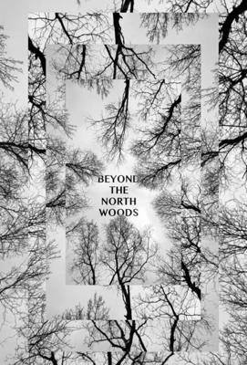 За Северным лесом / Beyond the North Woods (2022) смотреть онлайн бесплатно в отличном качестве