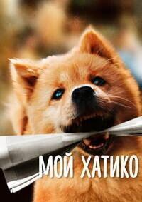 Мой Хатико / Hachiko (Zhong quan ba gong) (2023) смотреть онлайн бесплатно в отличном качестве