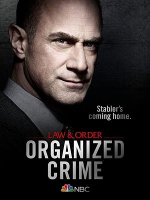 Закон и порядок: Организованная преступность / Law & Order: Organized Crime (2021) смотреть онлайн бесплатно в отличном качестве