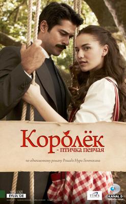 Королёк — птичка певчая / Çalikusu (2013) смотреть онлайн бесплатно в отличном качестве