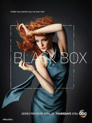 Чёрный ящик  / Black Box (2014) смотреть онлайн бесплатно в отличном качестве