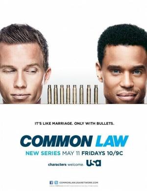 Общее дело  / Common Law (2012) смотреть онлайн бесплатно в отличном качестве