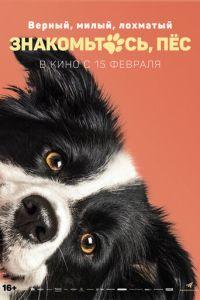 Знакомьтесь, пёс (Řekni to psem) 2022 года смотреть онлайн бесплатно в отличном качестве. Постер