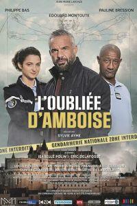 Убийства в Амбуазе / L'oubliée d'Amboise (2022) смотреть онлайн бесплатно в отличном качестве