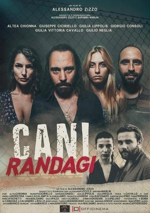 Бродячие псы / Cani randagi (2023) смотреть онлайн бесплатно в отличном качестве