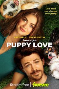 Щенячья любовь (Puppy Love) 2023 года смотреть онлайн бесплатно в отличном качестве. Постер