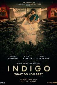 Индиго / Indigo (2023) смотреть онлайн бесплатно в отличном качестве