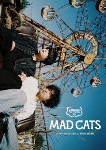 Бешеные кошки / Mad Cats (None) смотреть онлайн бесплатно в отличном качестве