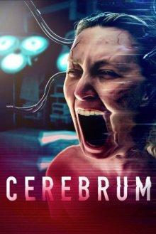 В голове / Cerebrum (2022) смотреть онлайн бесплатно в отличном качестве