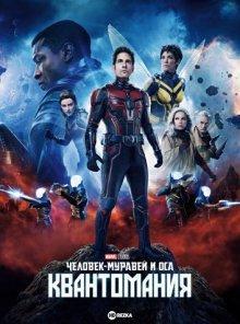 Человек-муравей и Оса: Квантомания / Ant-Man and the Wasp: Quantumania (2023) смотреть онлайн бесплатно в отличном качестве