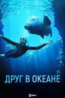 Друг в океане / Blueback (2022) смотреть онлайн бесплатно в отличном качестве