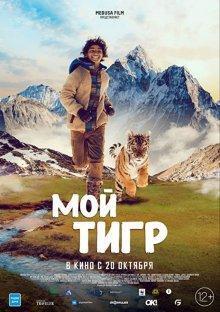 Мой тигр / Il ragazzo e la tigre (2022) смотреть онлайн бесплатно в отличном качестве