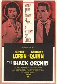 Черная орхидея / The Black Orchid (1958) смотреть онлайн бесплатно в отличном качестве