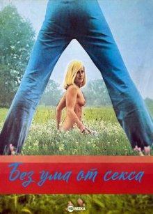 Без ума от секса / Vild på sex (1974) смотреть онлайн бесплатно в отличном качестве