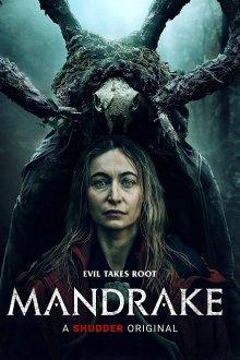 Мандрагора / Mandrake (2022) смотреть онлайн бесплатно в отличном качестве