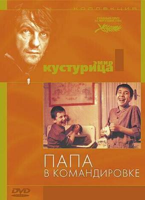 Папа в командировке / Otac na službenom putu (1985) смотреть онлайн бесплатно в отличном качестве