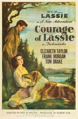 Храбрость Лэсси / Courage of Lassie (1946) смотреть онлайн бесплатно в отличном качестве