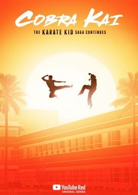 Кобра Кай / Cobra Kai (2018) смотреть онлайн бесплатно в отличном качестве