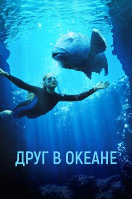 Друг в океане (Blueback)  года смотреть онлайн бесплатно в отличном качестве. Постер