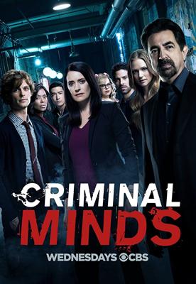 Мыслить как преступник / Criminal Minds (2005) смотреть онлайн бесплатно в отличном качестве