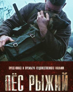 Пёс рыжий / Red Dog (2016) смотреть онлайн бесплатно в отличном качестве