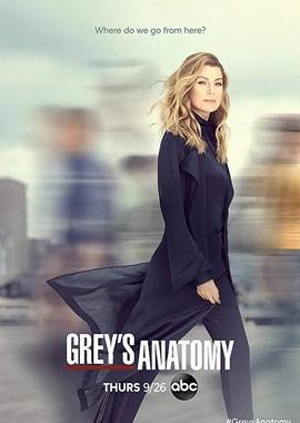 Анатомия страсти / Grey's Anatomy (2007) смотреть онлайн бесплатно в отличном качестве