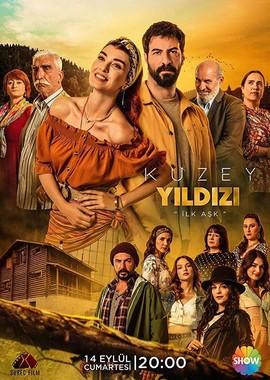 Полярная звезда / Kuzey Yildizi (2019) смотреть онлайн бесплатно в отличном качестве