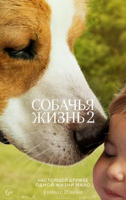 Собачья жизнь 2 / A Dog's Journey (2019) смотреть онлайн бесплатно в отличном качестве