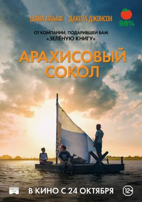 Арахисовый сокол / The Peanut Butter Falcon (2019) смотреть онлайн бесплатно в отличном качестве