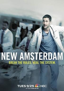 Новый Амстердам (New Amsterdam) 2018 года смотреть онлайн бесплатно в отличном качестве. Постер