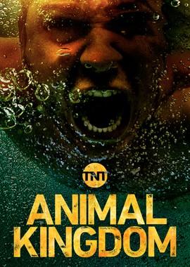 По волчьим законам / Animal Kingdom (2016) смотреть онлайн бесплатно в отличном качестве